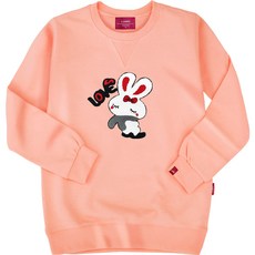 L.LAMO 男性用 3M 毛圈兔子 大學T