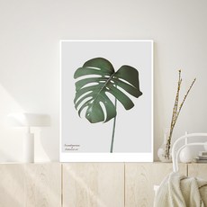 Oholive 畫框桌, 龜背芋TWO