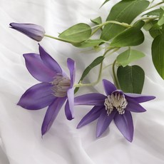 달콤노리 조화 꽃꽂이 재료 클레마티스 29, 2퍼플, 1개
