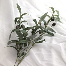 Dalkomnori 人造花插花材料 橄欖枝 G48, 混合色