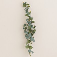 달콤노리 조화 꽃꽂이 재료 롱유칼리 G20, 블루