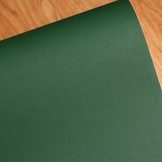 인필 점착식 단색 시트지, 샌드딥그린GSL524, 123cm x 3m