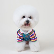 壁一體式寵物韓服, 混色