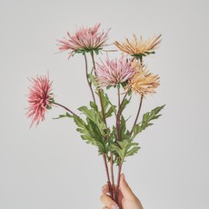 ASPASIA Spider Gerbera 人造灌木 3 件套, 淺紫色、米色、淺粉色, 1套