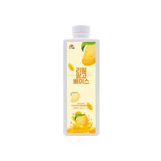 레인보우 리얼 망고 베이스 1kg