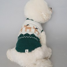 Bydamsumi 狗狗魯道夫針織衫, 綠色