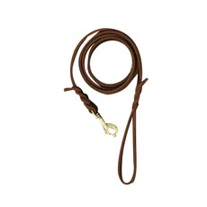 AMIPET 大型犬 中型犬 小型犬 皮革牽繩, 單一顏色, 1個