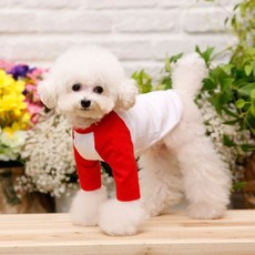 Pet Design 線條插肩袖狗狗T恤, 紅色