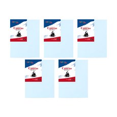 Artmate 帆布顏色F型藍色5p, 棉布