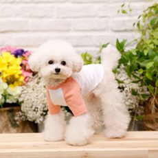 펫디자인 라인 나그랑 강아지 티셔츠, 피치, 1개