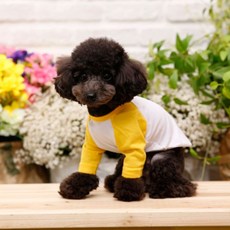 Pet Design 線條插肩袖狗狗T恤, 黃色