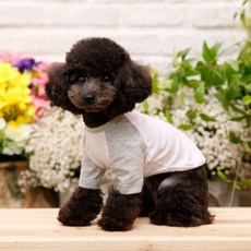 Pet Design 線條插肩袖狗狗T恤, 麻灰色