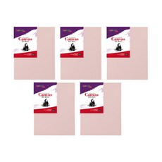 Artmate 帆布顏色f type粉紅色5p, 棉布