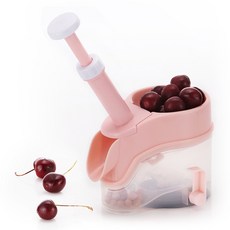 一鍵式櫻桃去核器, 1個
