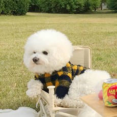 寵物格紋印花絨毛衣, 黃色的