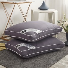 I'm Living AG頂級加重版飯店用奈米羽絨填充拉鍊式枕芯, 炭灰色, 2個