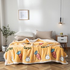 스카이라 극세사 담요 M101