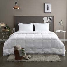 베딩나라 아토앤알로 마이크로다운필 이불솜, 화이트