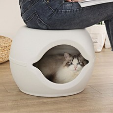 狗狗和貓咪凳子型蛋型屋, 白色的