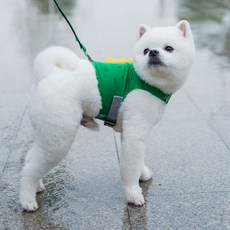 댕이와 냥이 공룡 하네스 L, 혼합색상, 1개