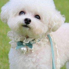 POP PUPPY 抓皺蕾丝狗狗披肩, 薄荷綠