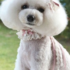 POP PUPPY 抓皺蕾丝狗狗披肩, 粉紅色