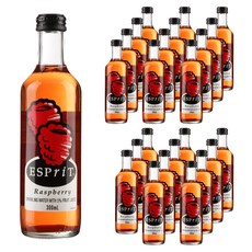 ESPriT 라즈베리 탄산음료, 300ml, 24개