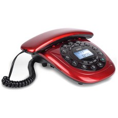 Aae 數字固定電話, AEG-C12