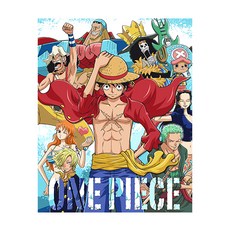 路飛海賊團4海賊王繪圖DIY, 混色