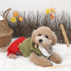 Parisdog 新郎小狗多合一改良韓服, 綠色