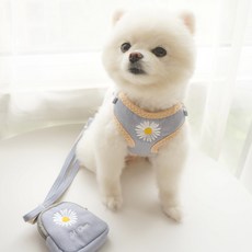 Dangamsyop小型犬雛菊胸背帶包組 S, 藍色