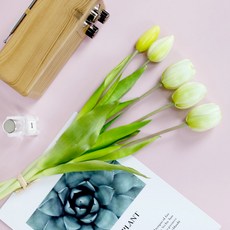 Lead home 人造芒果鬱金香 5入, 白色的