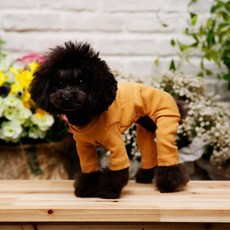 Pet Design 狗狗運動連身衣, 芥末黃