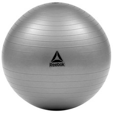 리복 트레이닝 짐볼 RAB-12015GRBL, 그레이