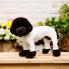 Pet Design 狗狗運動連身衣, 白色