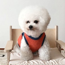 狗狗星星針織衫, 橘色, 1個