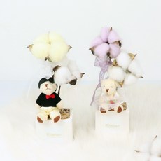 Blüehen 棉花樹 2 件套, 泰迪熊，泰迪熊