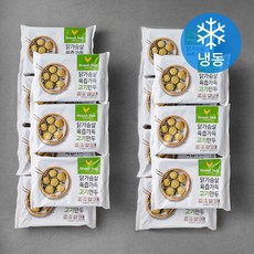 브랜드닭 닭가슴살 육즙가득 고기만두 (냉동), 168g, 14팩
