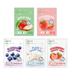 HOIHOI 과일 요거트칩 5종 세트, 사과맛, 딸기맛, 블루베리 요거트 혼합 맛, 요거트플레인맛, 딸기 + 요거트 혼합맛, 1세트