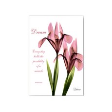 GUNU 簡約花卉居家裝飾畫 1入, 粉色花朵