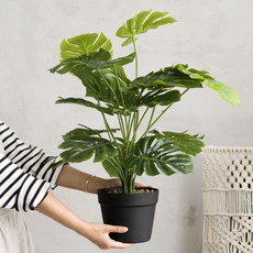 Miss Mone Monstera人造花樹盆栽 70cm, 混色, 1個