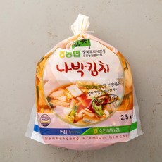 남한강김치 충북인증 우리농산물로 만든 나박김치, 2.5kg, 1개