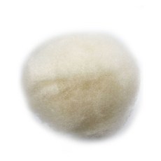 마이펫돌 반려동물 인형 기본 윤곽 만들기 베이스 솜 500g, 1개