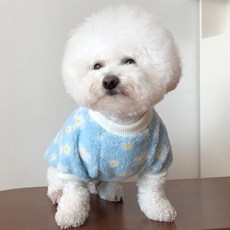 Bydamsoomi 狗狗雛菊大學T, 藍色