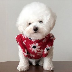 bydamsoomi 狗狗羊毛花朵荷葉邊T恤, 紅色