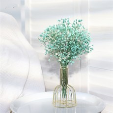 GAPANG 乾花 霧花, 2號