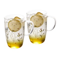 ZEN 花花草草玻璃杯, 535ml, 2入