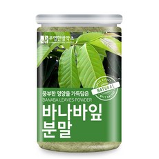 부영한방약초 바나바잎 분말, 200g, 1개