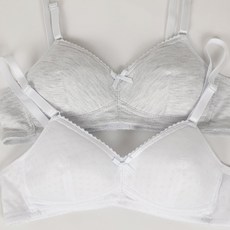 Sweetwear 少女無鋼圈內衣 2件組 S123