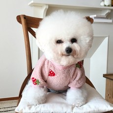 Baidamsoomi 狗狗草莓大學T, 粉紅色